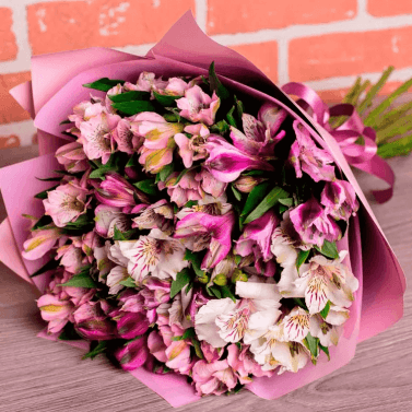 Peruvian Lilly Bloom